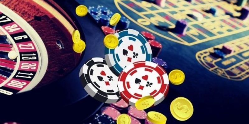 Tâm lý và dữ liệu – hai mặt của cược thông minh